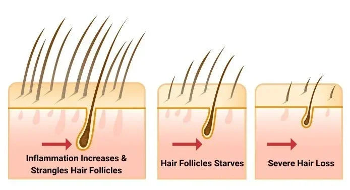 Allurium Hair Growth Serum